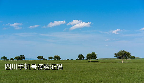 免费手机接码软件平台