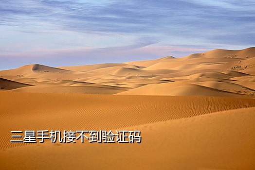 能激活快手的接码平台