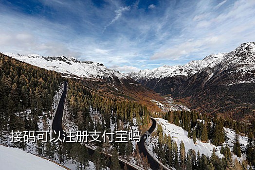 免费代接短信验证码是真的吗
