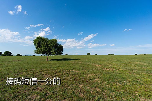 美团接码短信平台在哪里