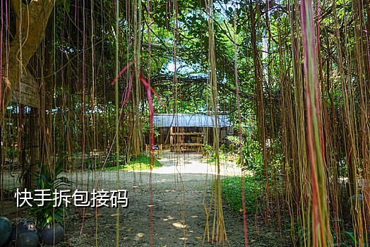 快手新号接码技巧是什么