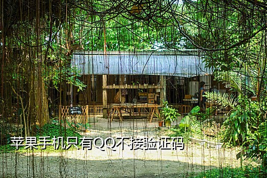 空手机号接验证码