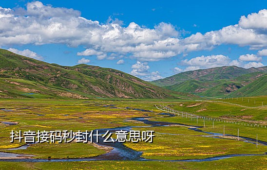 可以接验证码的虚拟手机号