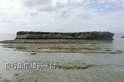 开发云接码手机验证码