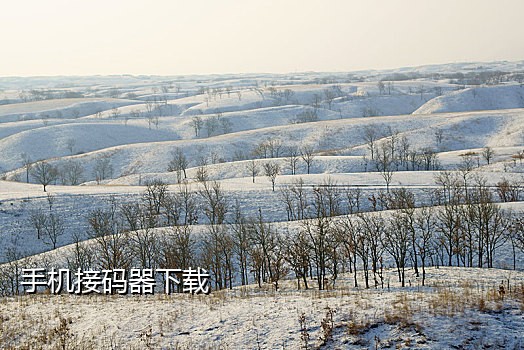 陌陌注册接码器