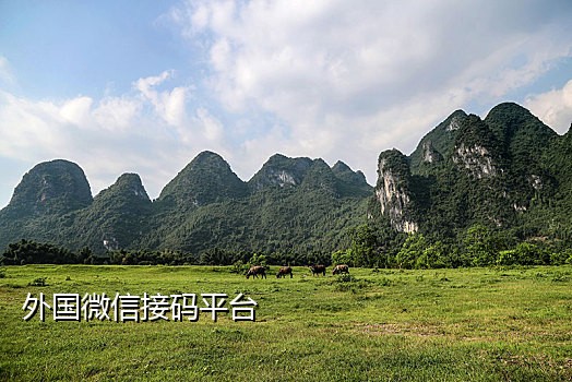 京东接码上