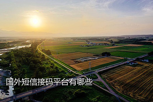 京东接码服务在哪里