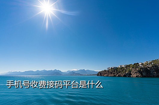 京东短信接码