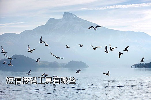 接码怎么开支付宝v1