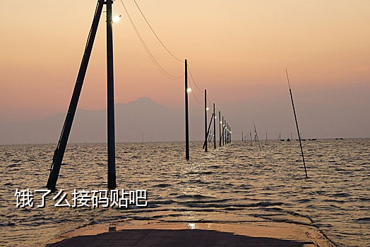 接码手机卡哪里买