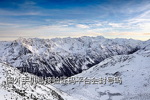 接码软件发短信