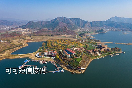 接码软件qq
