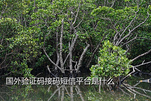 接码苹果版