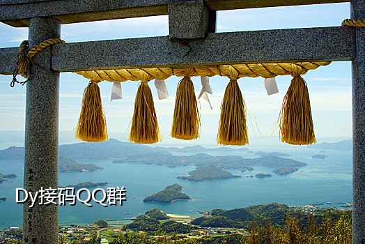 接码短信平台越南