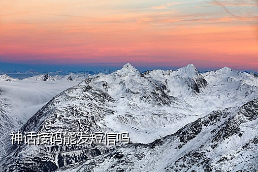 接码短信流程图片模板