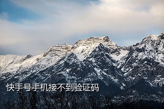 接短信验证码的app