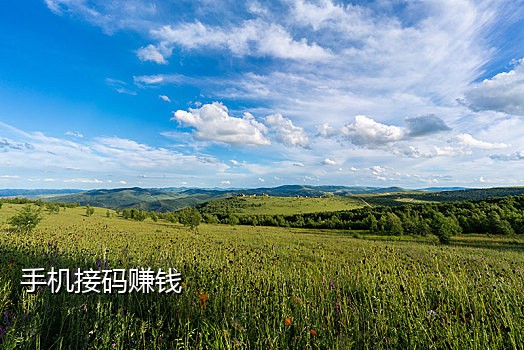 淘宝接码需要语音验证码
