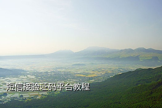 免费虚拟电话接短信验证码