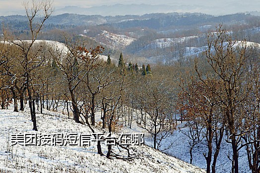 红米9接不到短信验证码