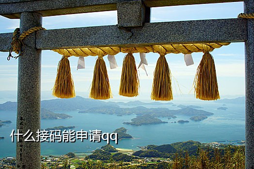 中国号码接码短信平台官网