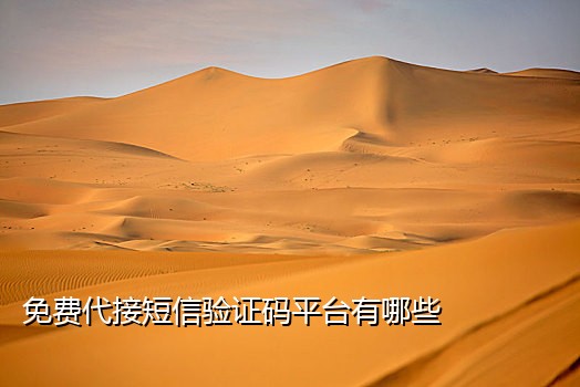 国外手机号免费接码平台