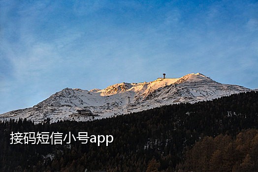 国外手机号接码网站有哪些