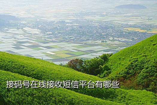国外活手机接码