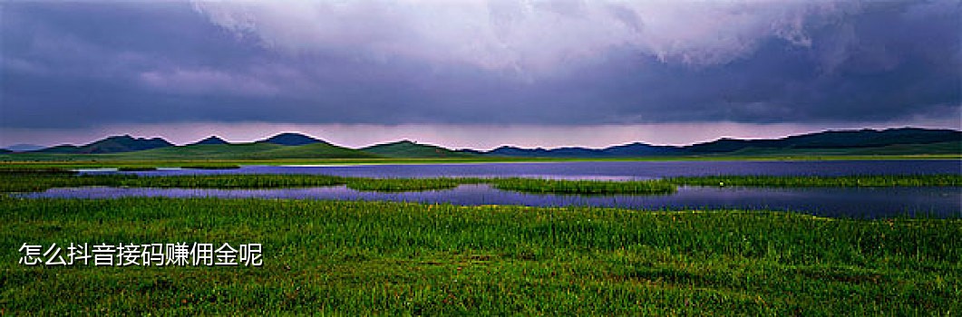 国内手机号接码网站查询