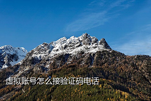 国内手机号接码短信验证码平台