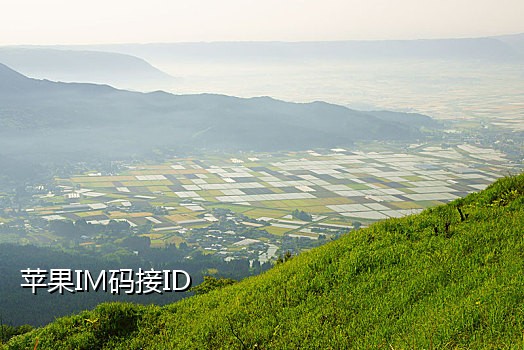 国内接码抖音渠道