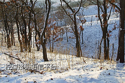 饿了么接码3915