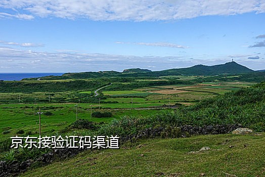 短信验证接码app
