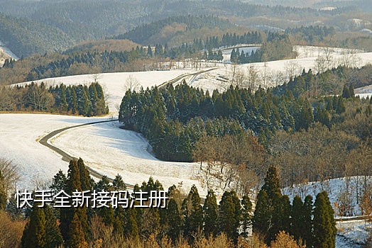 短信接码为什么收不到