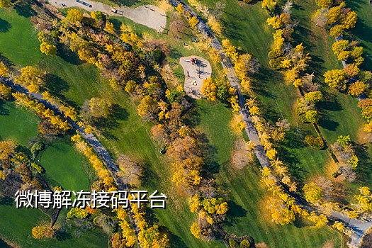 短信接码收费平台