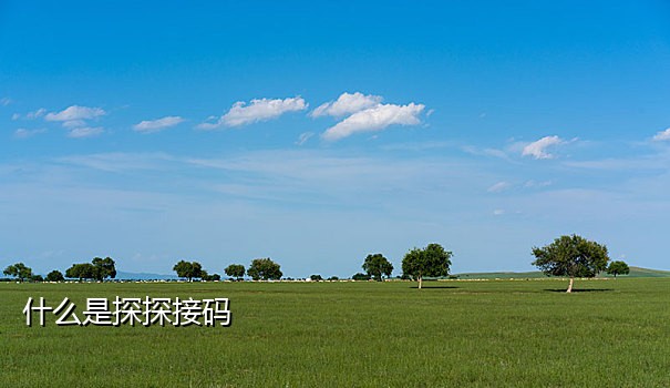 短信接码平台软件哪家好