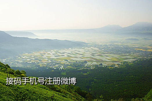 短信接码的用途