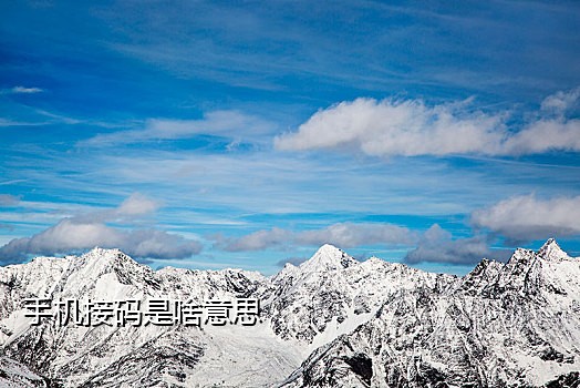 抖音验证码接码神器