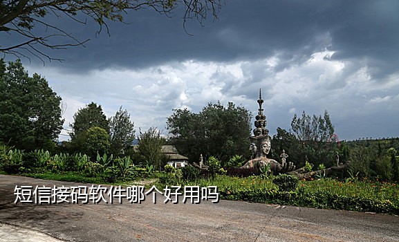 抖音虚拟手机号接码平台