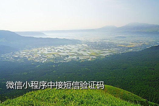 抖音接码挣钱是真是假