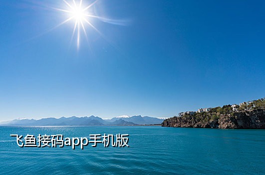 点淘接码