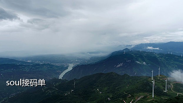 德芙手机号接码客户端查询