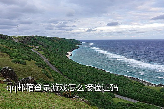 代充为什么要手机接码