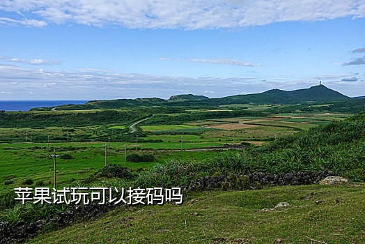 伯乐手机接码