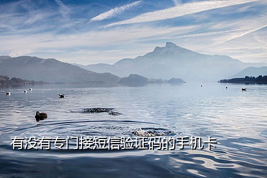 蝙蝠怎么接验证码