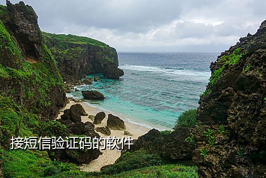 比较稳定的抖音接码平台