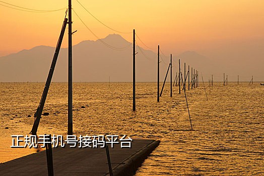 按键精灵手机版接码
