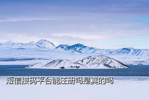 爱码接码软件苹果版