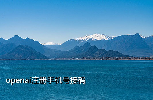 美团首单用哪个接码平台好