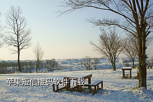 2018短信接码平台