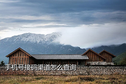 最新接码短信平台是什么